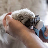 Dog Nail Clippers - 3 Colors